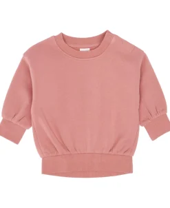 Clearance Babies' Plain Sweatshirt Sweats & Fleece