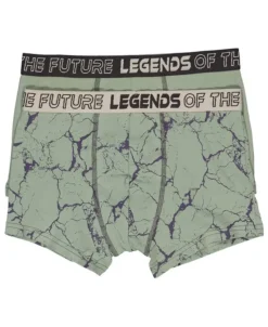 Discount Boy's Fashion Trunk 2 Pack Kids Underwear|Kids Briefs
