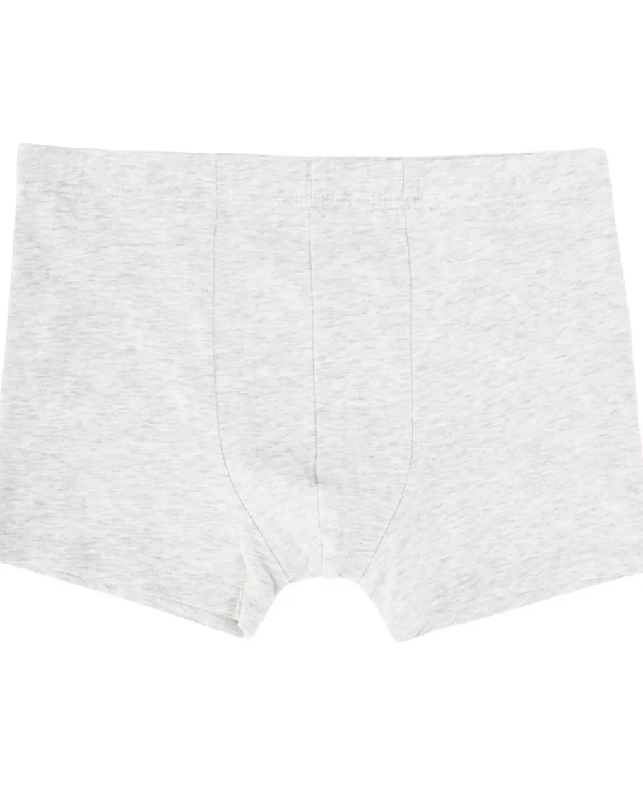 New Boys' Table Trunk Kids Underwear|Kids Briefs