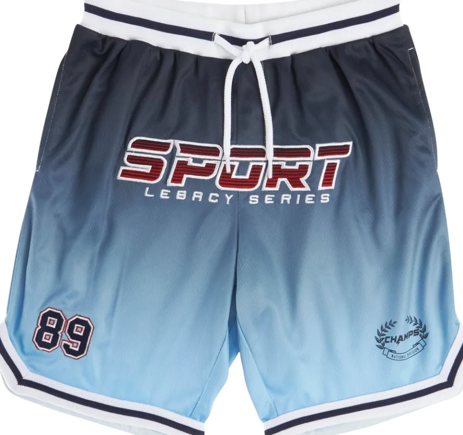 Discount Little Kids' Sporty Ombre Mesh Short Kids Bottoms|Kids 1 - 7