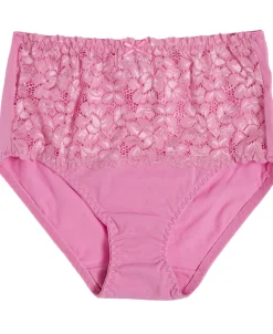 New Women's Favourites Lace Full Brief Women Lingerie|Womens Briefs