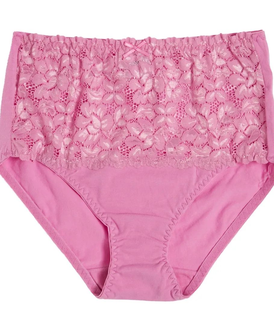 New Women's Favourites Lace Full Brief Women Lingerie|Womens Briefs